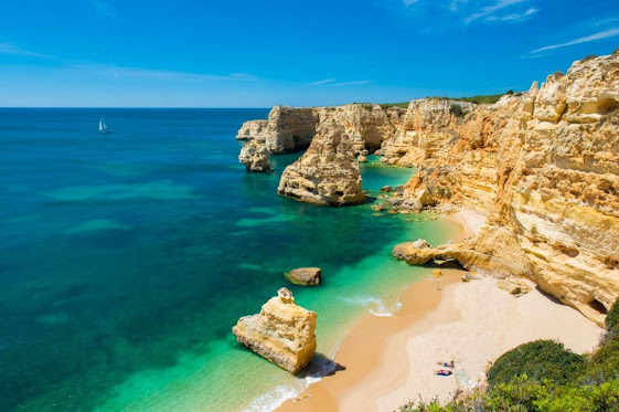 The Algarve with its exceptional climate is a great terroir for growing vines