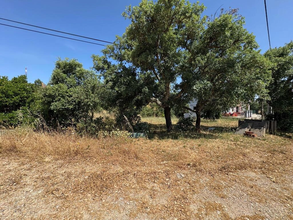 Land For Sale in Salir Land For Sale in Salir