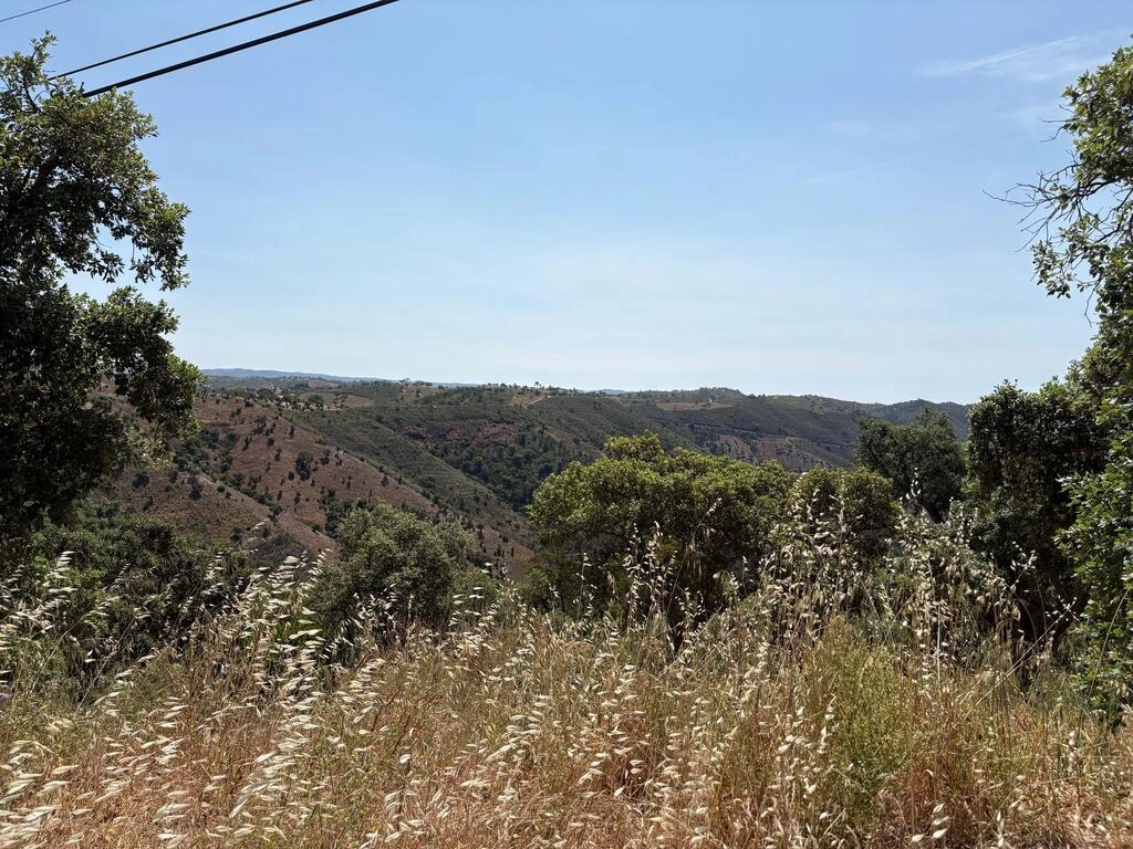 Land For Sale in Salir Land For Sale in Salir