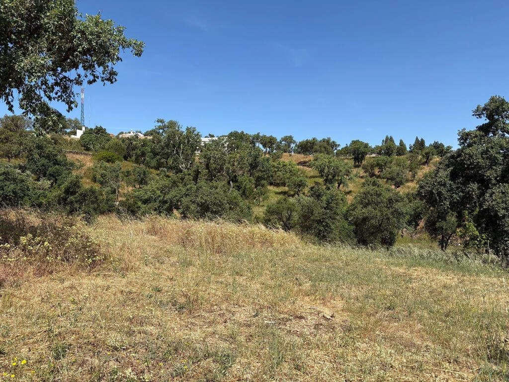Land For Sale in Salir Land For Sale in Salir