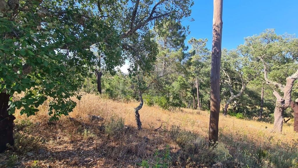 Land For Sale in São Brás de Alportel Land For Sale in São Brás de Alportel