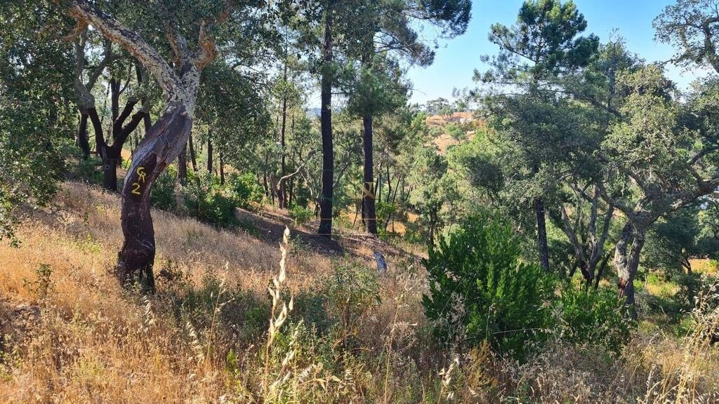 Land For Sale in São Brás de Alportel Land For Sale in São Brás de Alportel