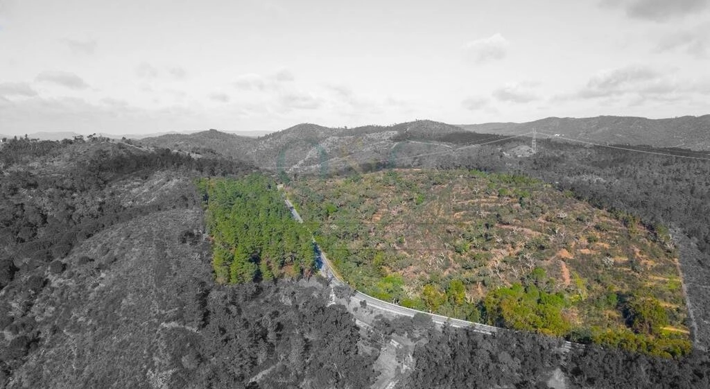 Land à vendre à São Brás de Alportel Land à vendre à São Brás de Alportel