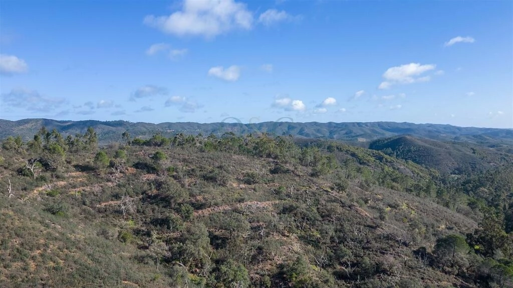 Land à vendre à São Brás de Alportel Land à vendre à São Brás de Alportel