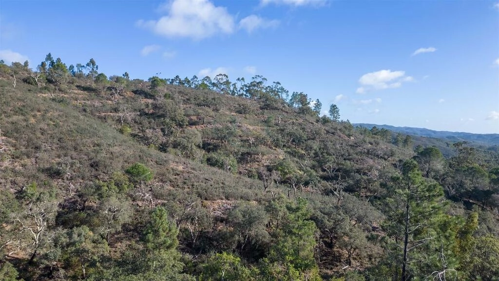 Land à vendre à São Brás de Alportel Land à vendre à São Brás de Alportel