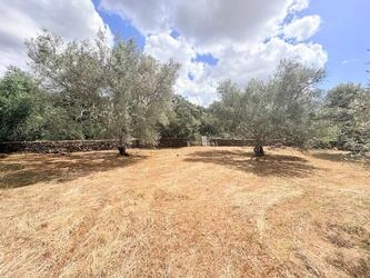 Country house For Sale in São Brás de Alportel