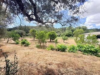 Country house For Sale in São Brás de Alportel