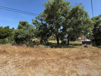 Land For Sale in Salir