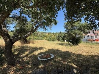 Land For Sale in Salir