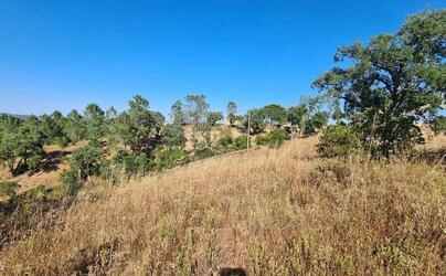 Land For Sale in São Brás de Alportel