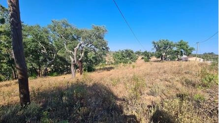 Land For Sale in São Brás de Alportel
