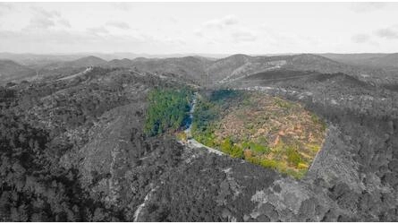 Land For Sale in São Brás de Alportel