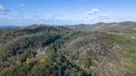 Land For Sale in São Brás de Alportel