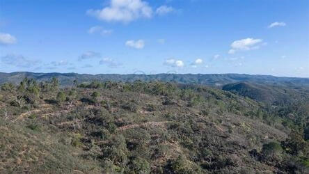 Land For Sale in São Brás de Alportel