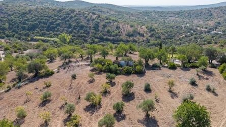 Land avec 4 chambres à vendre à Santa Catarina da Fonte do B