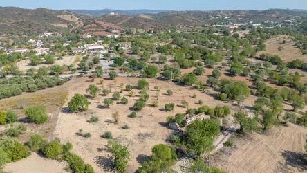 Land avec 4 chambres à vendre à Santa Catarina da Fonte do B
