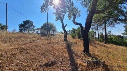 Land à vendre à São Brás de Alportel