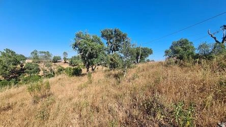Land à vendre à São Brás de Alportel