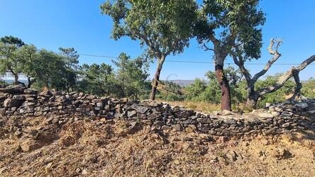 Land à vendre à São Brás de Alportel
