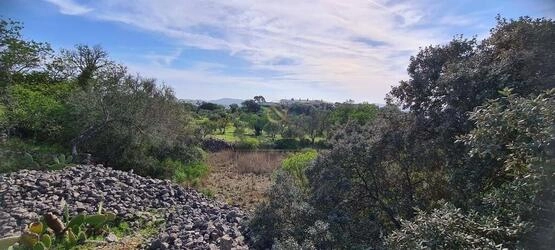 Urban land à vendre à São Brás de Alportel