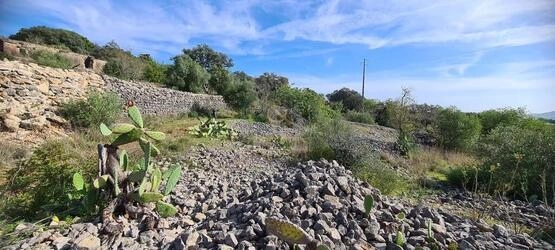 Urban land à vendre à São Brás de Alportel