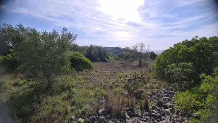 Urban land à vendre à São Brás de Alportel