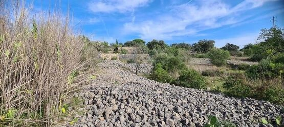 Urban land à vendre à São Brás de Alportel