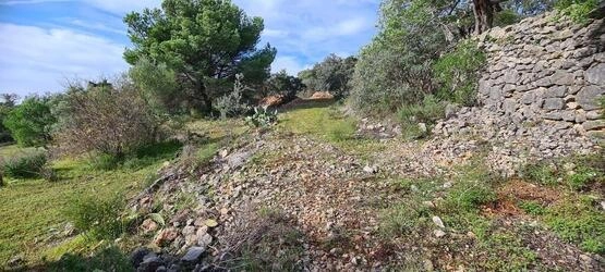 Urban land à vendre à São Brás de Alportel
