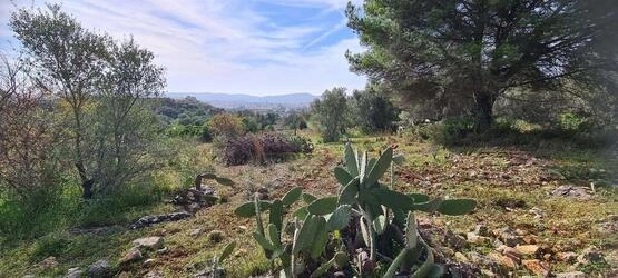 Urban land à vendre à São Brás de Alportel