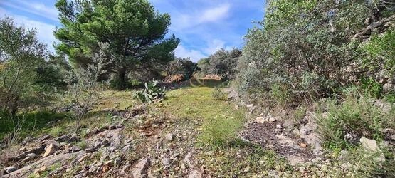 Urban land à vendre à São Brás de Alportel