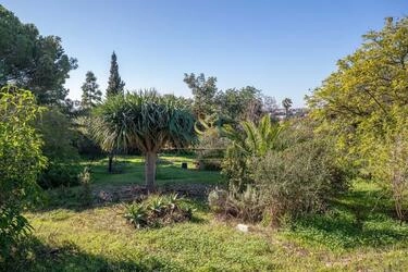 Villa to be renovated à vendre à Loulé (São Clemente)