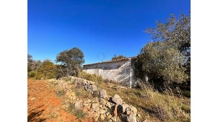 Ruin à vendre à São Brás de Alportel