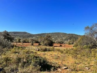 Ruin à vendre à São Brás de Alportel