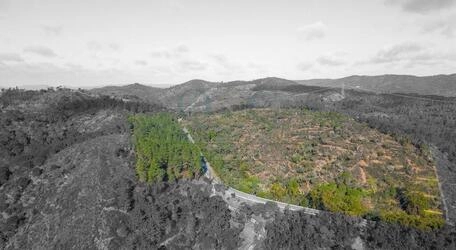 Land à vendre à São Brás de Alportel