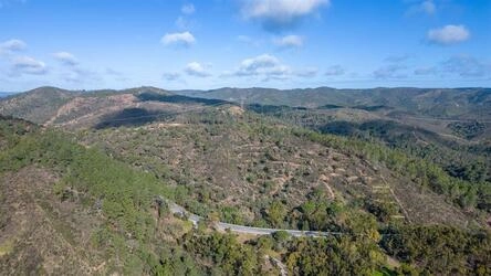 Land à vendre à São Brás de Alportel