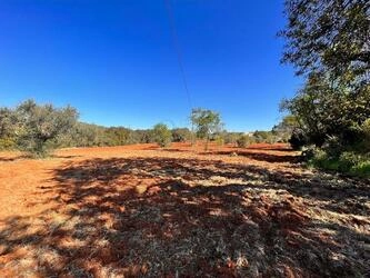 Rural land à vendre à São Brás de Alportel
