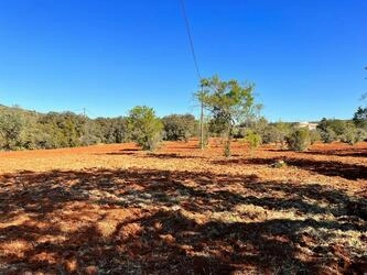 Rural land à vendre à São Brás de Alportel