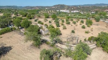 Land com 4 quartos à venda em Santa Catarina da Fonte do Bis