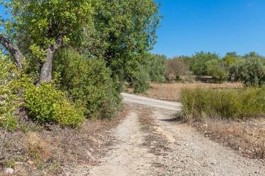 Land com 4 quartos à venda em Santa Catarina da Fonte do Bis