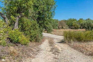 Land com 4 quartos à venda em Santa Catarina da Fonte do Bis