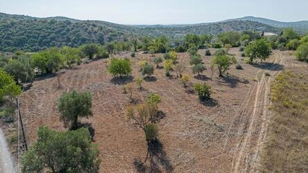 Land com 4 quartos à venda em Santa Catarina da Fonte do Bis