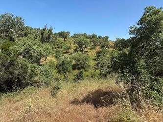Land à venda em Salir