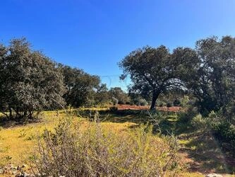 Rural land à venda em São Brás de Alportel