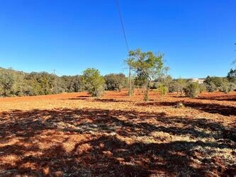 Rural land à venda em São Brás de Alportel