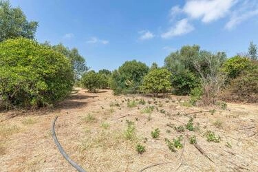 Farmhouse avec 3 chambres à vendre à Moncarapacho