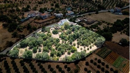 Farmhouse com 3 quartos à venda em Moncarapacho