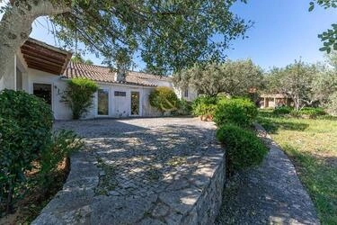 Farmhouse com 4 quartos à venda em São Brás de Alportel