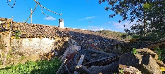 Farmhouse avec 5 chambres à vendre à Salir