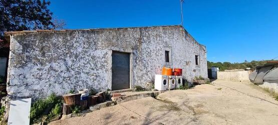 Farmhouse avec 5 chambres à vendre à Salir