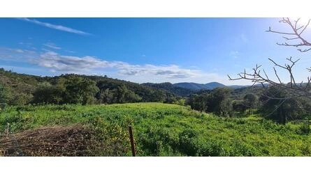 Farmhouse com 5 quartos à venda em Salir